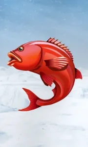 Ice Fishing