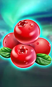 Winterberries